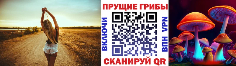 Псилоцибиновые грибы Psilocybine cubensis  blacksprut зеркало  Торопец 